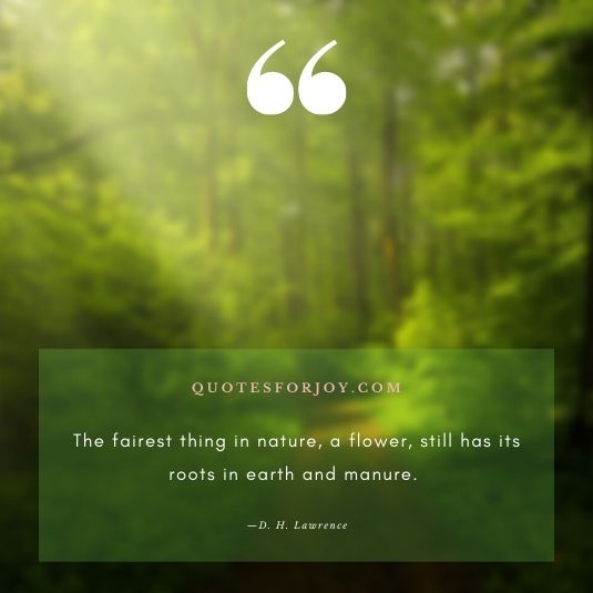 Inspirational Nature Quotes_0