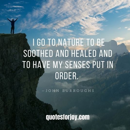 Inspirational Nature Quotes_7