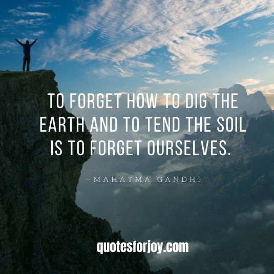 Inspirational Nature Quotes_9