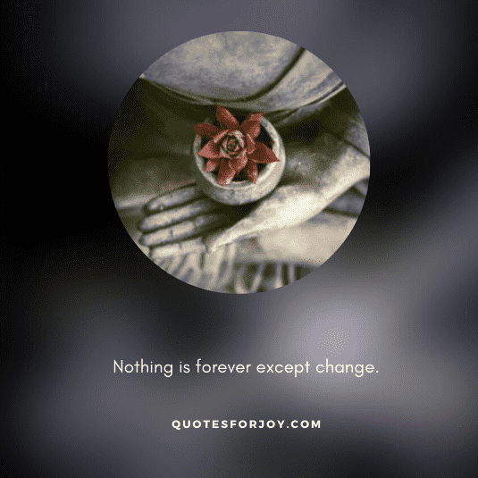 Lord Gautam Buddha Quotes-10