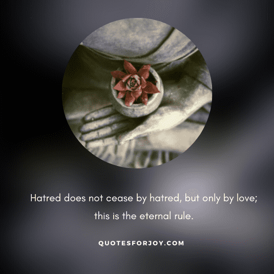 Lord Gautam Buddha Quotes-11