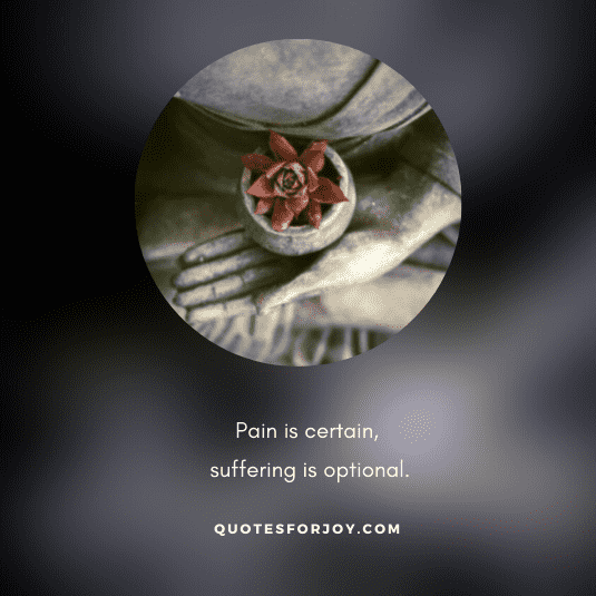 Lord Gautam Buddha Quotes-7