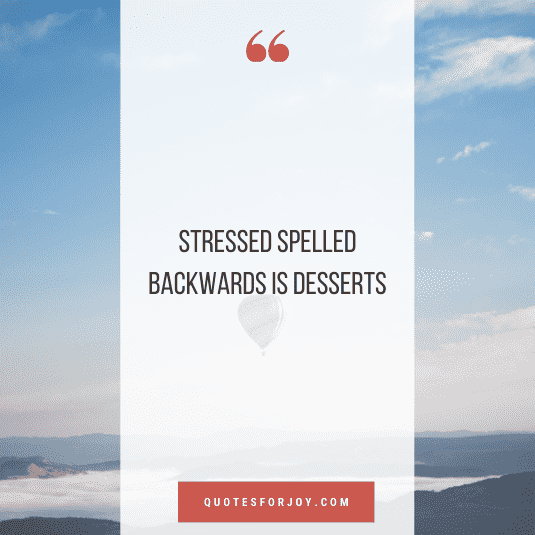 Most Adorable & Cute Whatsappp status-15