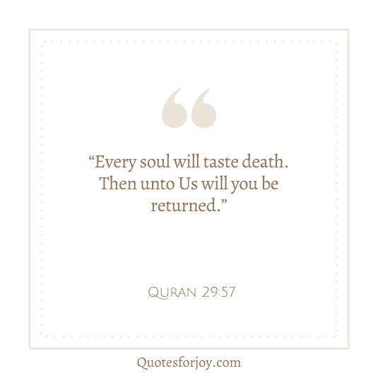 Short Islamic Quotes & Saying-2