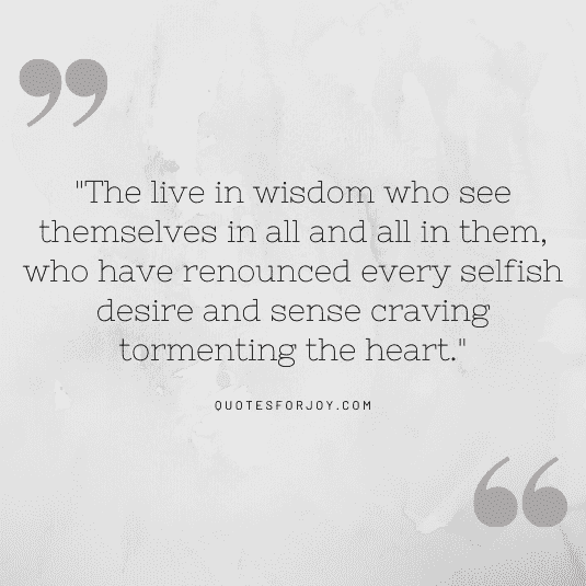 bhagavad gita quotes-14