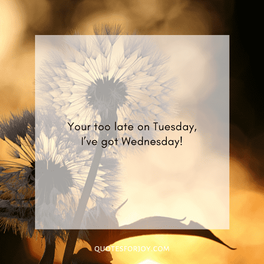 happy Wednesday quotes-1