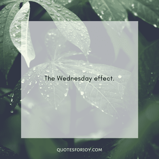 happy Wednesday quotes-6