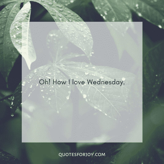 happy Wednesday quotes-9