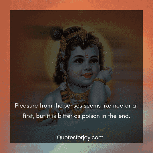 krishna Bhagavad Gita quotes-12