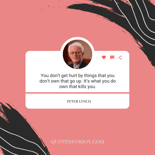 peter lynch quotes-7