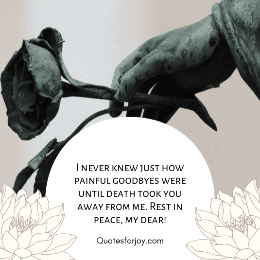 RIP quotes for a loved one-7
