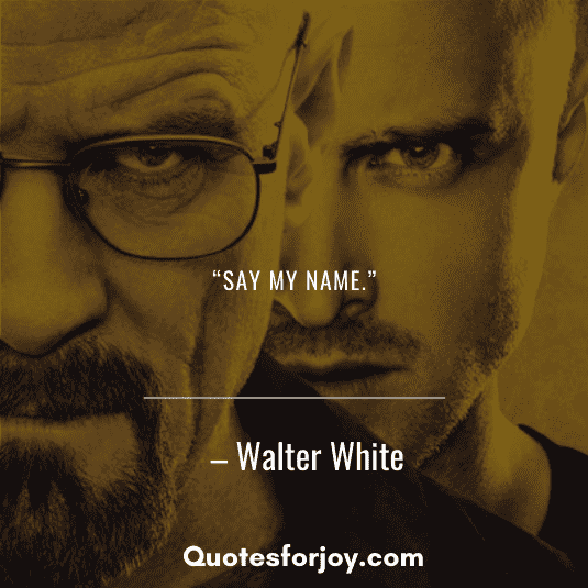 Breaking bad quotes-19