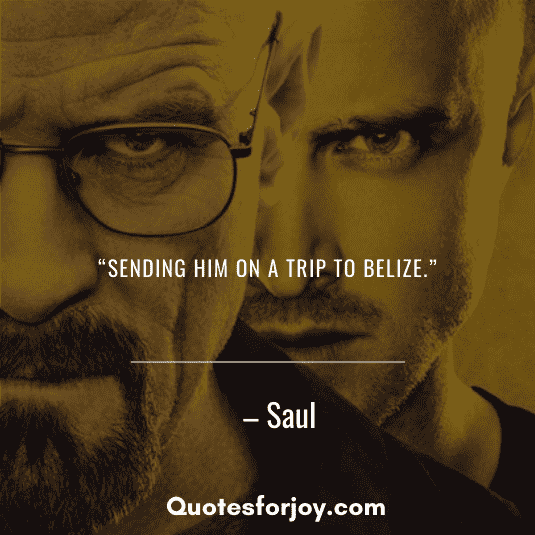 Breaking bad quotes-5