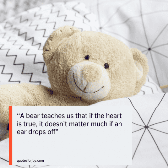 teddy bear love quotes-4