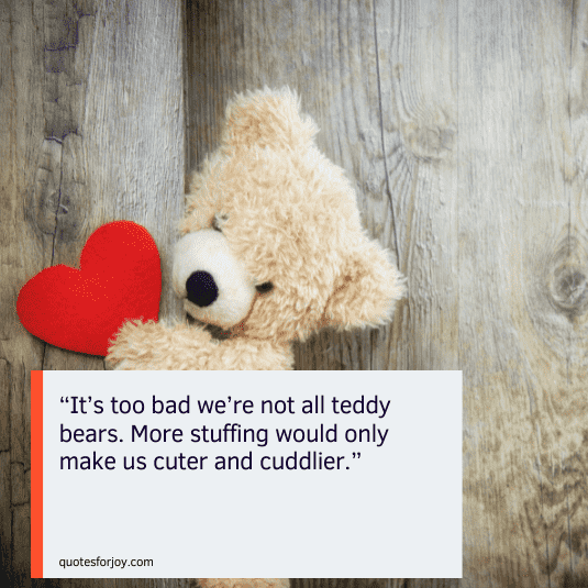 teddy bear quotes for baby girl-3