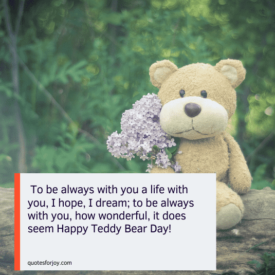 teddy bear quotes for baby girl-8