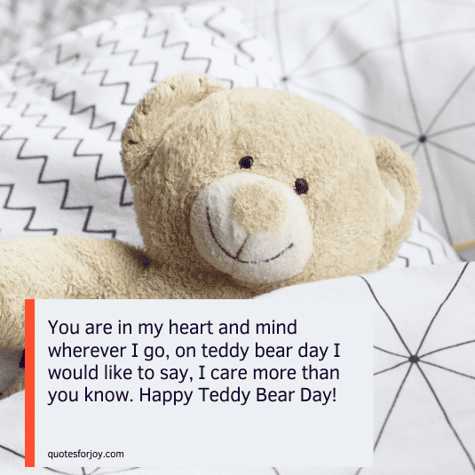 teddy love quotes-11