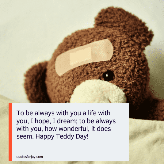 teddy love quotes-12
