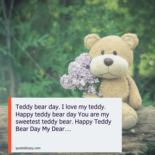 teddy love quotes-14