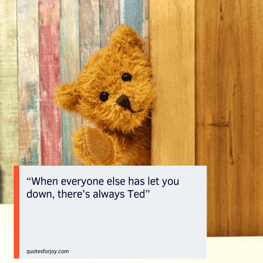 teddy love quotes-15