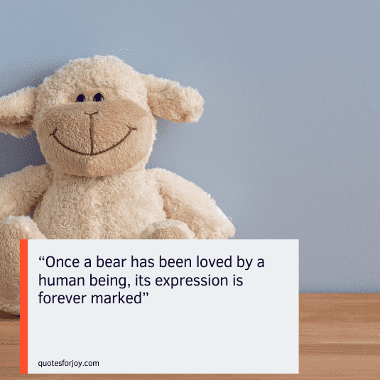 teddy love quotes-17