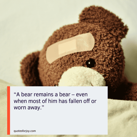 teddy love quotes-19