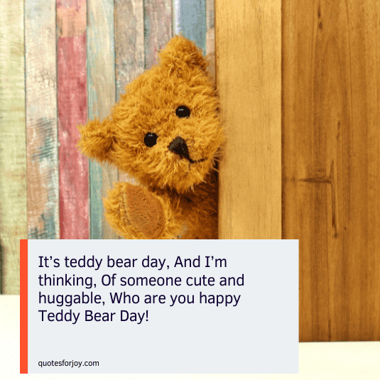 teddy love quotes-8