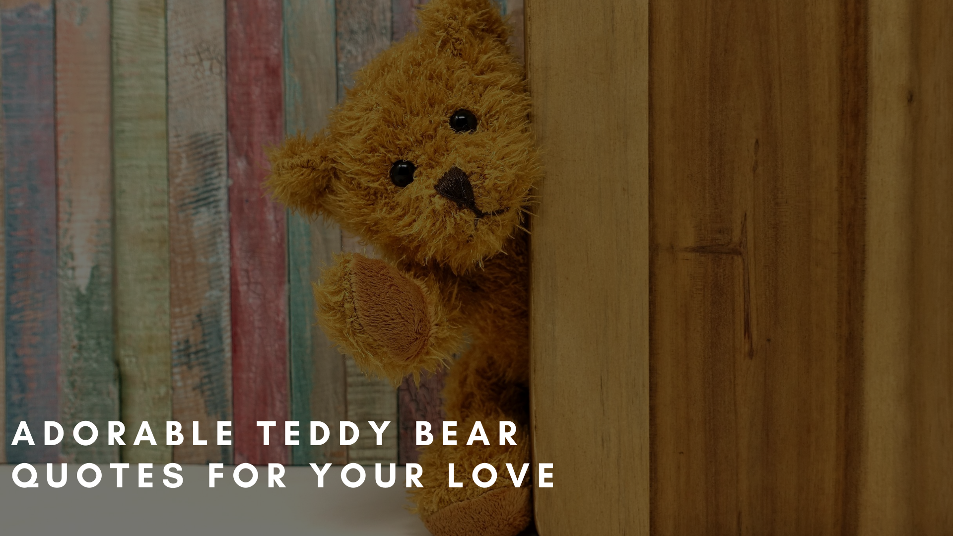 Teddy bear quotes For your love