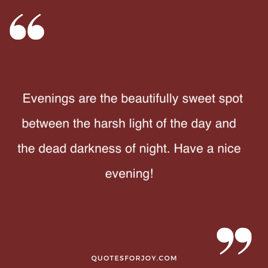 Good Evening Messages 8