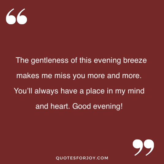 Good Evening Quotes for Him Her 9