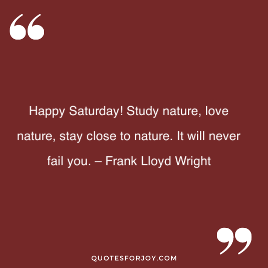 Happy Saturday quotes 31