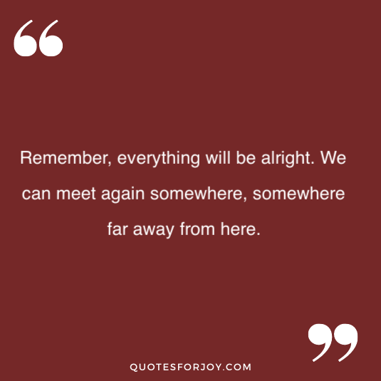 Harry Styles Quotes 16