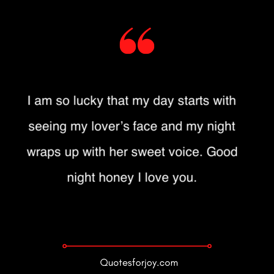 Romentic and Lovely good night quotes 14