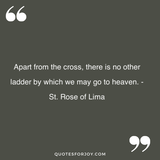 holly week quote from the bible 14