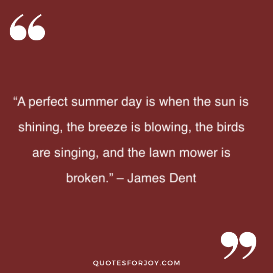 summer quotes 16