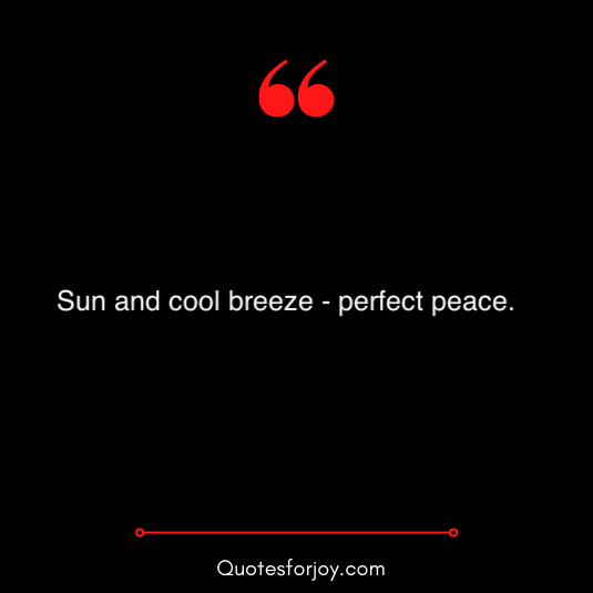 sun kissed quotes to remember 14