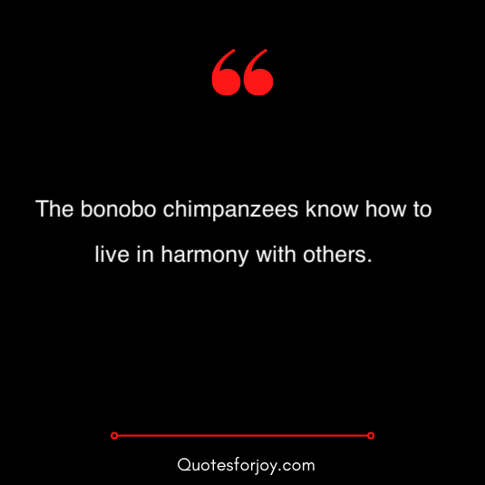 swinging quotes & sayings