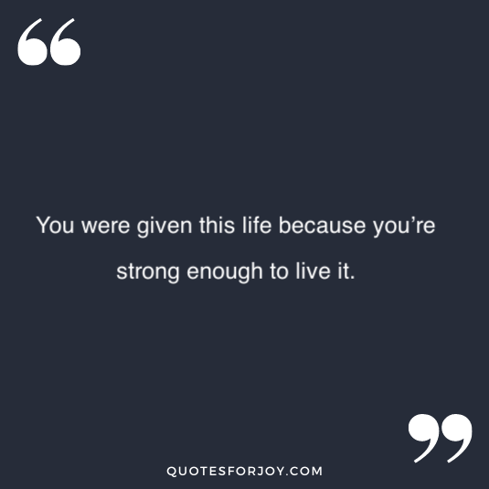 whatsapp status for life 15