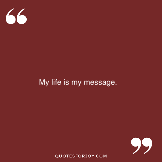 whatsapp status for life 44