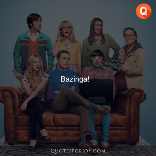 Big Bang Theory Quotes 1