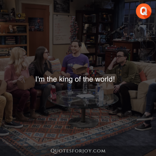 Big Bang Theory Quotes 10