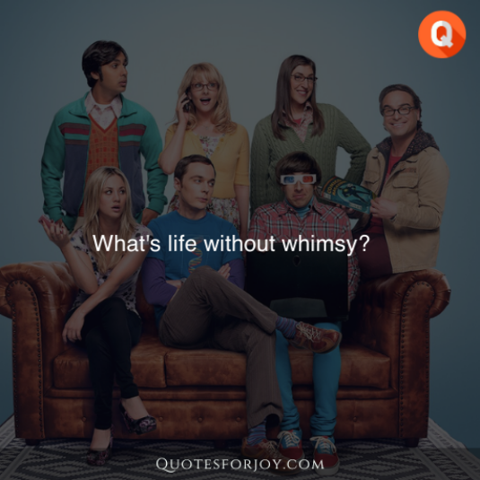 Big Bang Theory Quotes 12