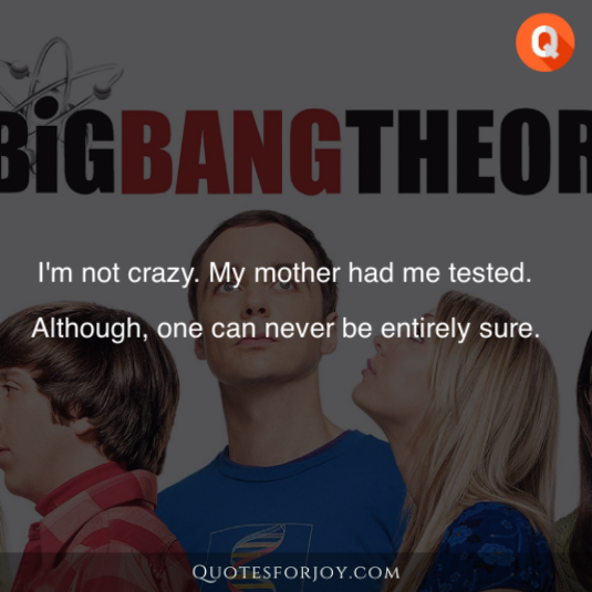 Big Bang Theory Quotes 13