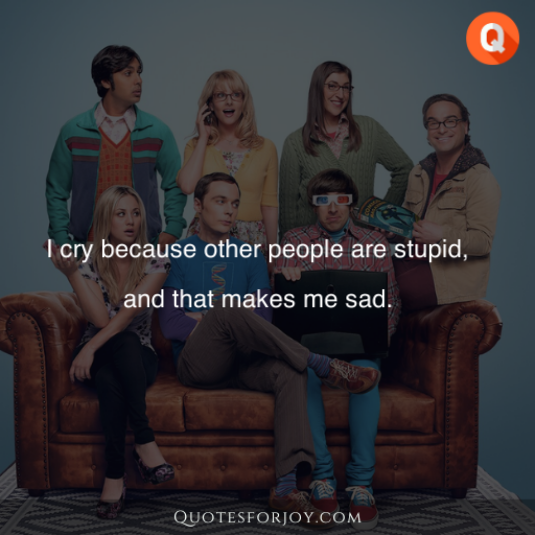 Big Bang Theory Quotes 2