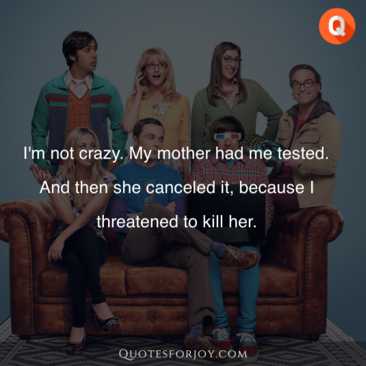 Big Bang Theory Quotes 7