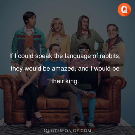 Big Bang Theory Quotes 9