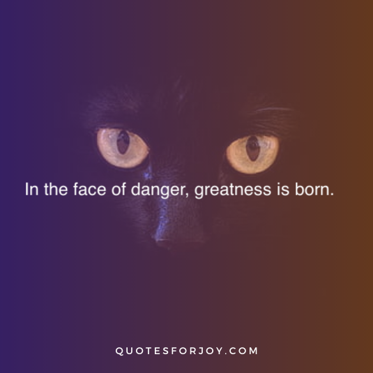 Dangerous Quotes 22