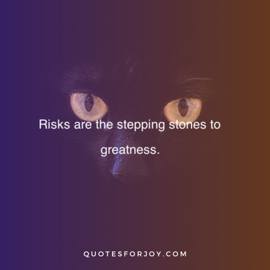 Dangerous Quotes 26