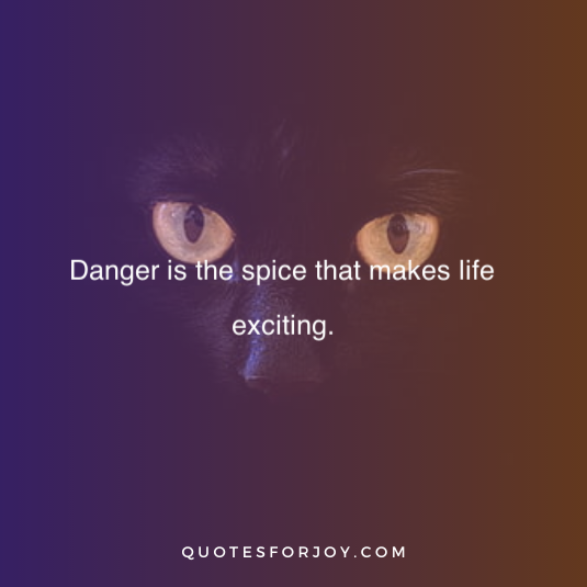 Dangerous Quotes 3
