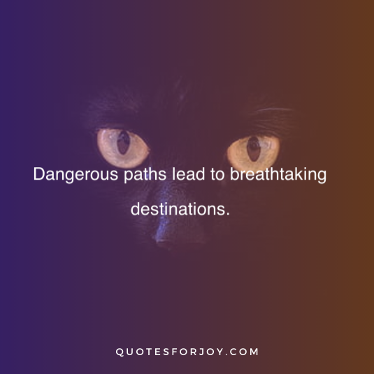 Dangerous Quotes 33